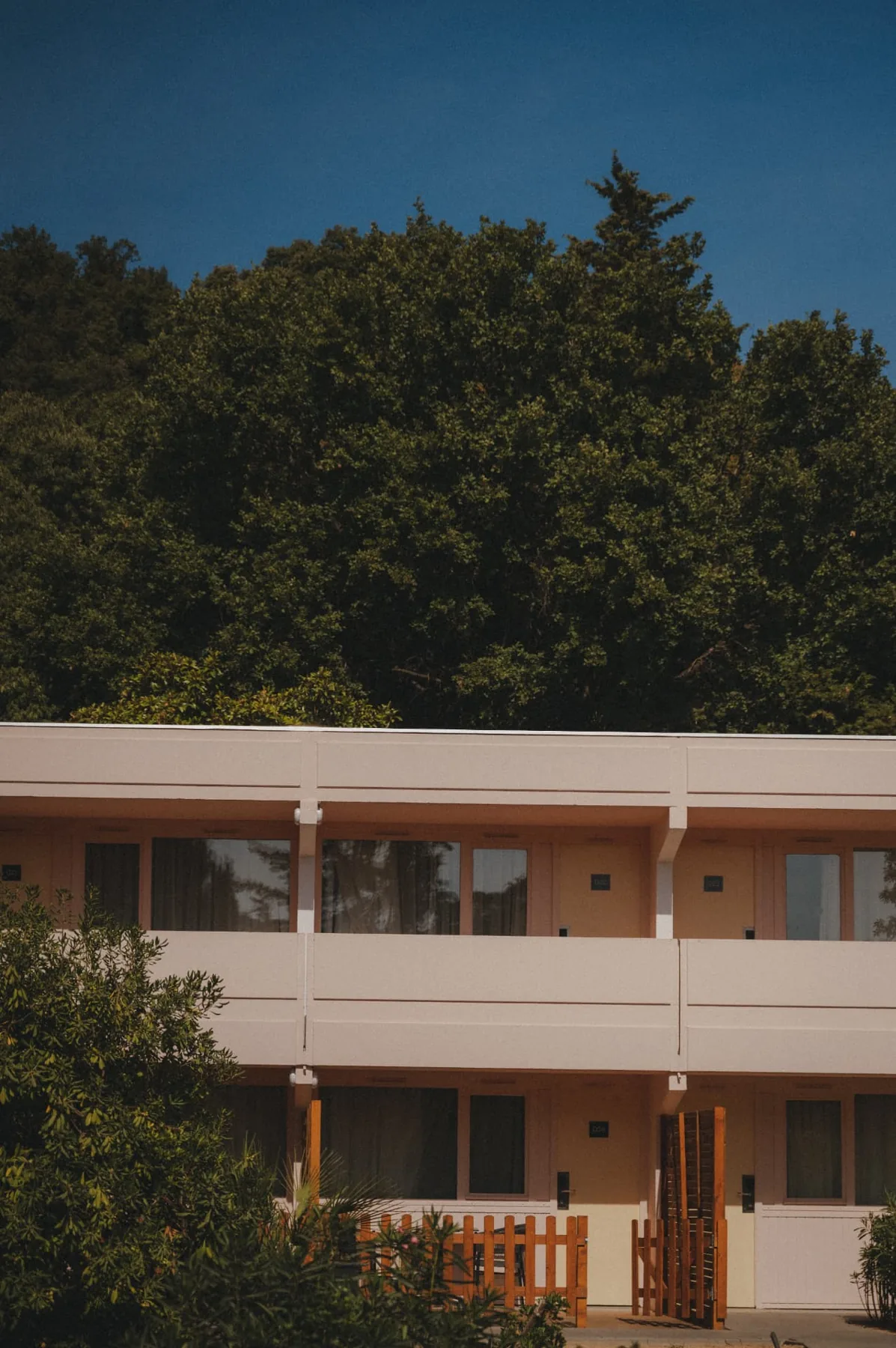 Cannes Motel exterior beneath the pines