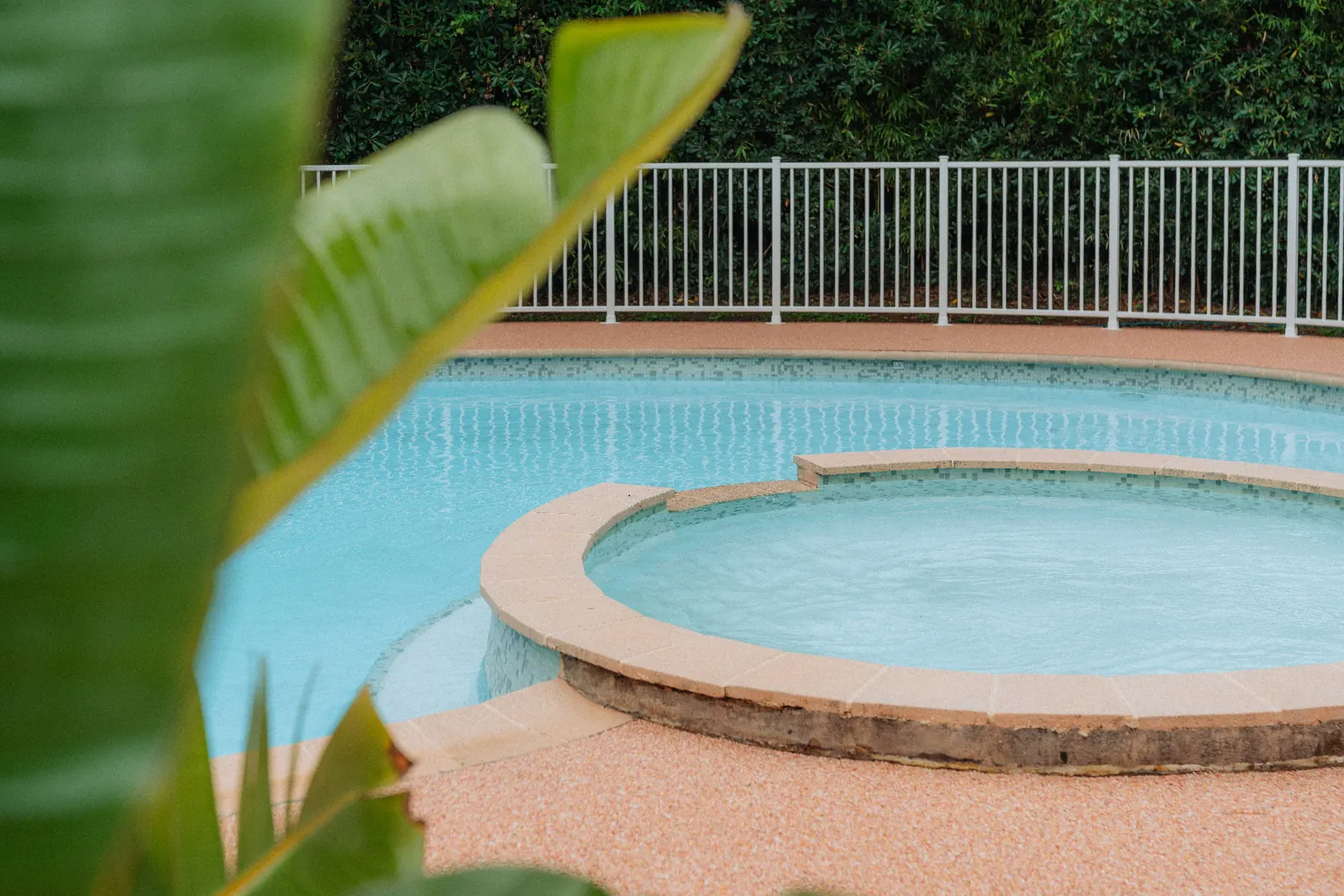 The Cannes Motel pool beneath the pines